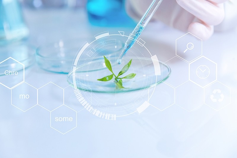 istock 872192434 istock 872192434